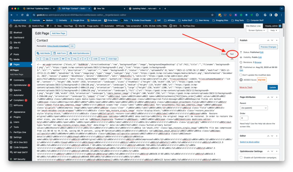 paste code into classic editor